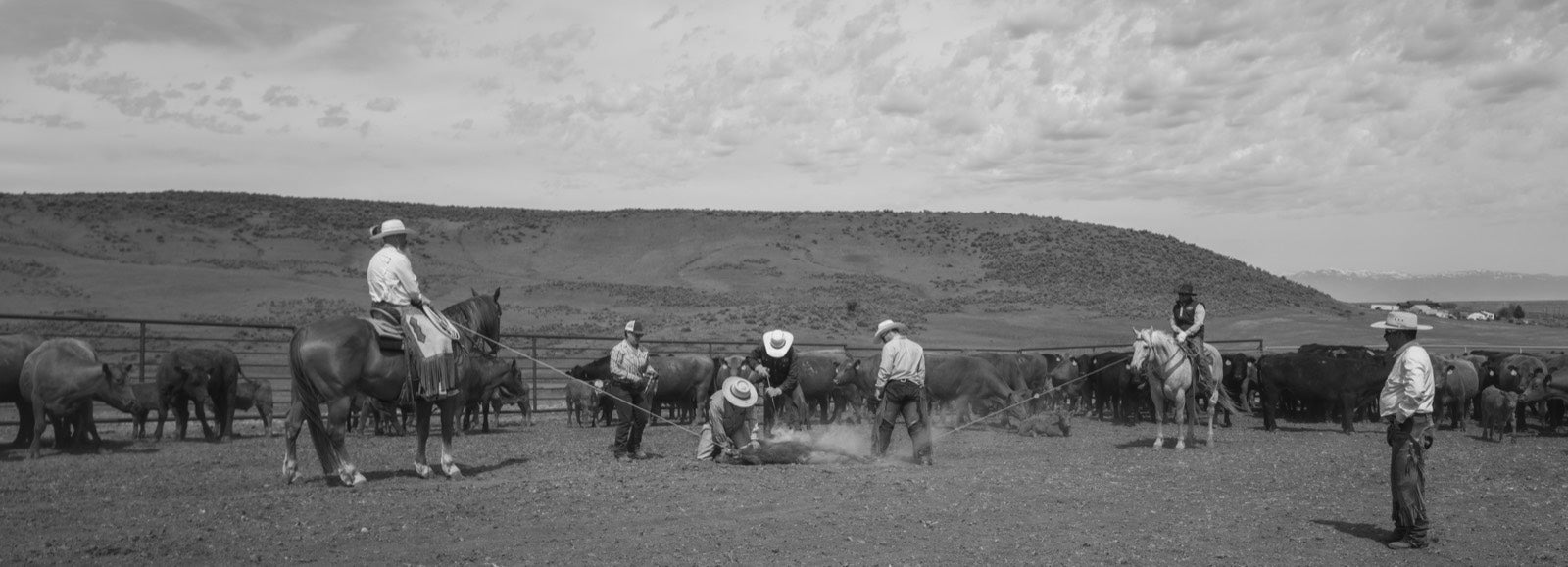 LMAC Ranch