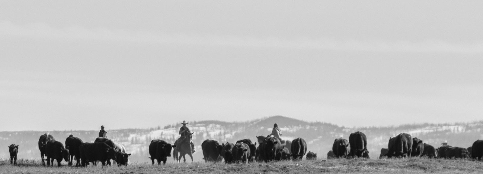 LMAC Ranch