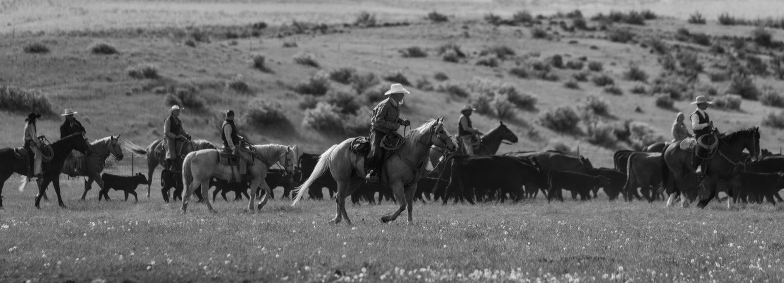 LMAC Ranch