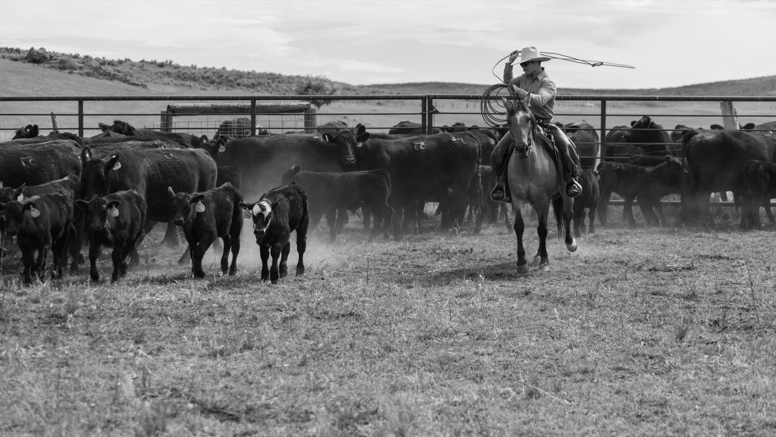 LMAC Ranch