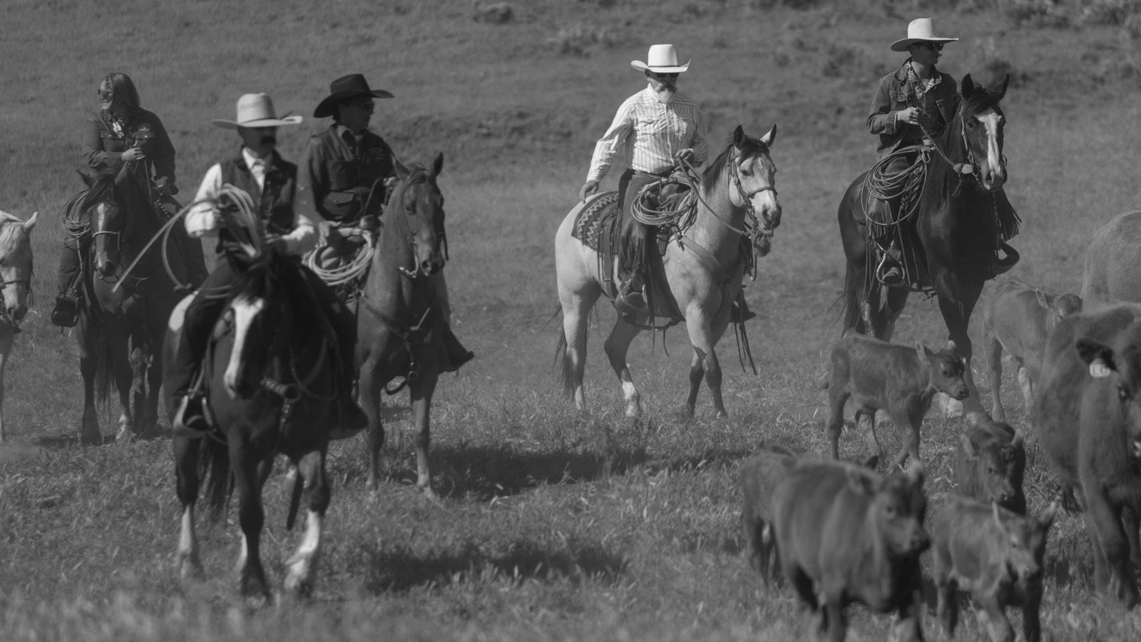 LMAC Ranch