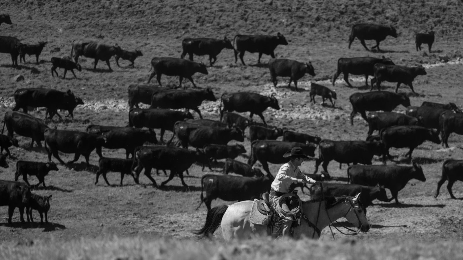 LMAC Ranch