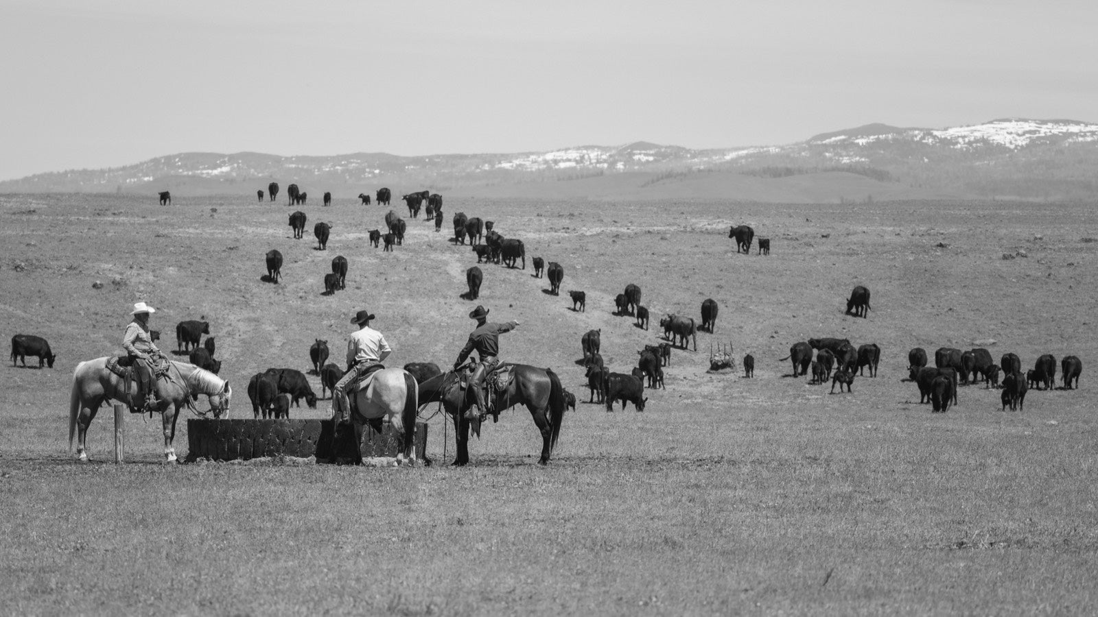 LMAC Ranch