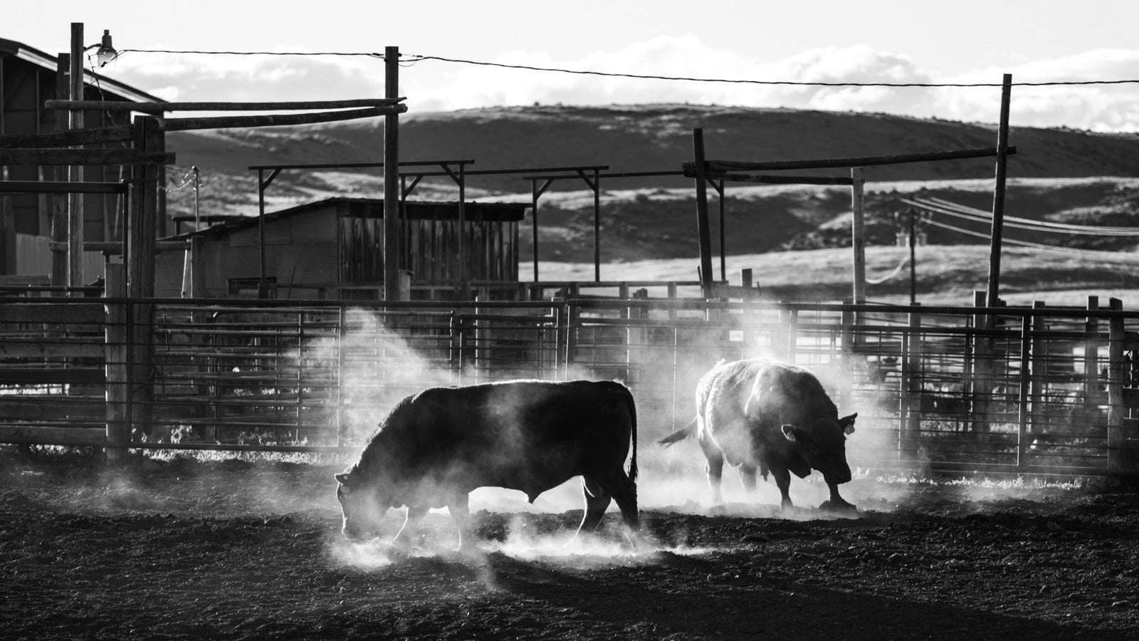 LMAC Ranch